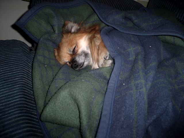 Picture 486.jpg